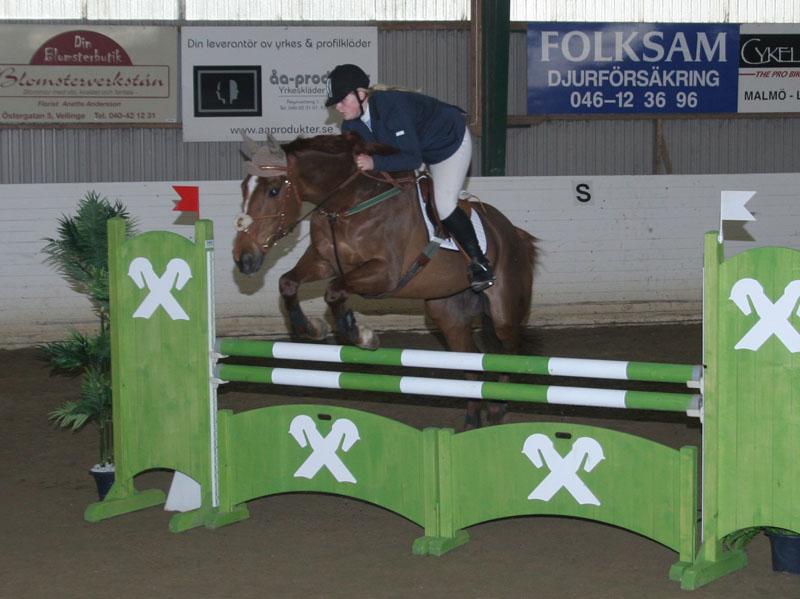 20080406_151916 Lisa Ottosson Drumrue Jane